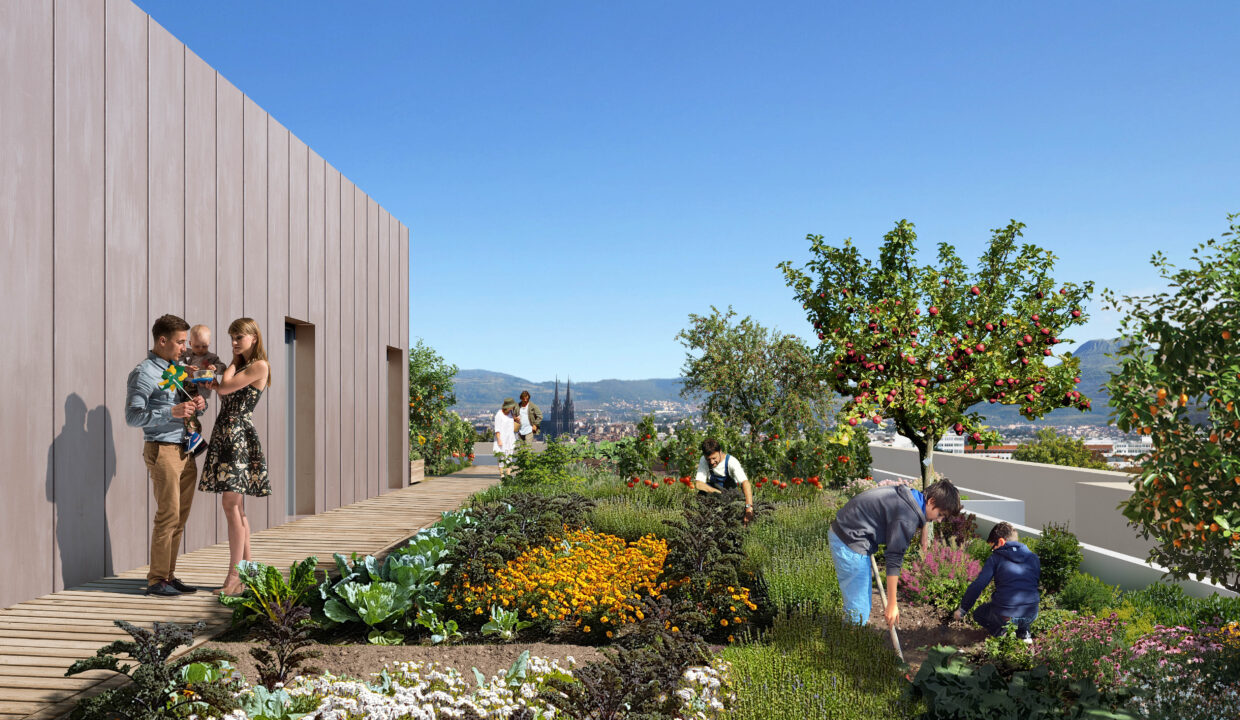 Web - Perspective principale